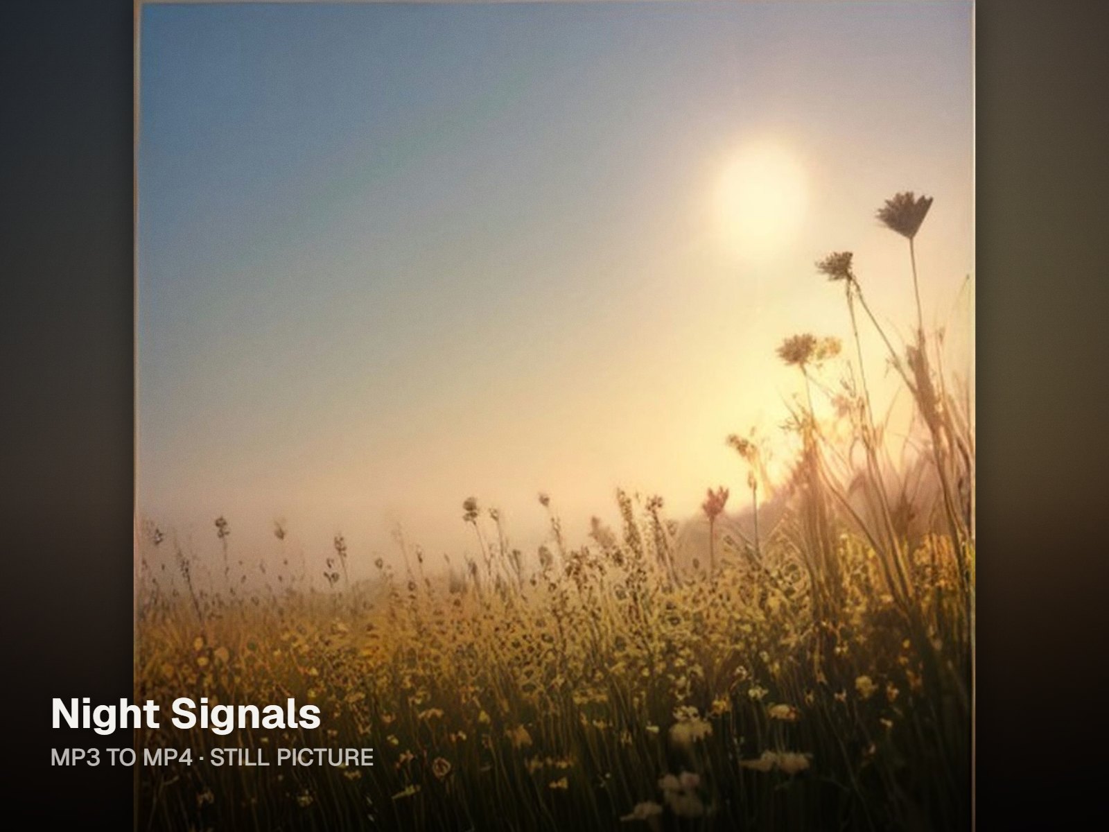 Still-picture video frame: a misty wildflower cover filling the frame over a blurred copy of itself, with the song title in the lower left